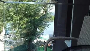 Apartman Markovic Silver Lake - Kisiljevo