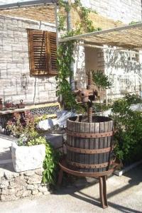 Apartment Bol (3417-4)