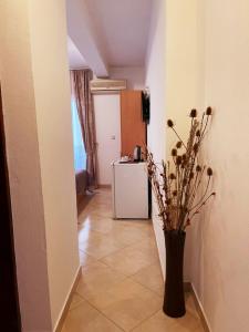 Apartments Stari Ribar