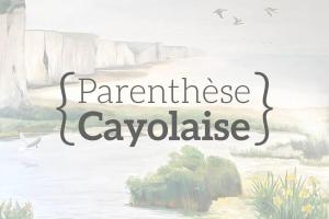 Appartements Parenthese Cayolaise : photos des chambres