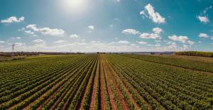 La Vinia Bed&Wine Experience - Adults Only img40