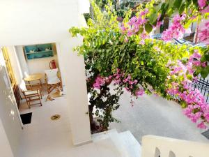 Irini Apartments Chania Greece