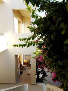 Irini Apartments Chania Greece