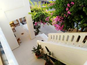 Irini Apartments Chania Greece