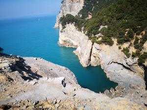 Il nido dei Gabbiani