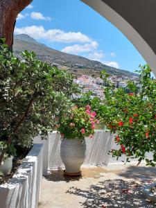 Villa Arni Andros Greece