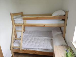 Tęczowe Lato