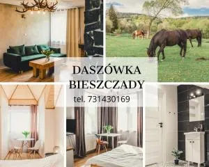 Daszówka Bieszczady - Chrewt