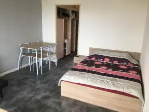 Joli studio proche des châteaux et du parc de Beauval - 圣艾尼昂