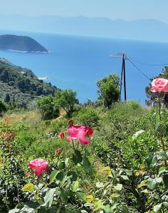 Villa Lemonia Skopelos Greece