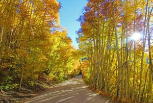 Village Shavano Briar Rose Run Condo: Ski-InOut