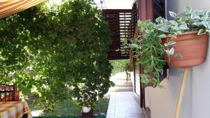 Studio Apartment in Sabunike with Terrace, Air Conditioning, Wi-Fi (231-3)