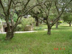 Beachfront Studio 4526-3