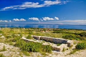 Studio apartment in Vir (4776-3)