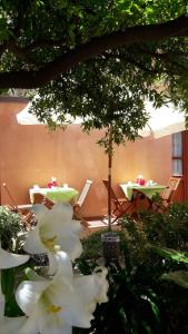 B&B Antica Villa img33