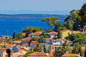 Studio Apartment in Susak with Air Conditioning, Wi-Fi (3865-2)
