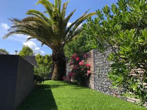 B&B / Chambres d'hotes Les cocons du bassin - cocon 