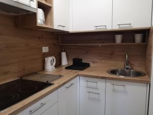 Apartment Viki 