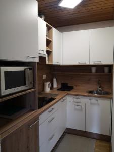 Apartment Viki 