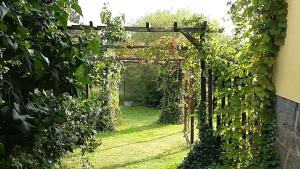 Genesungsort Landhaus Dammert