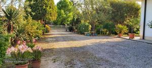 La Celeste a Montegaldella -VI - Italia