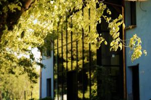 Hotels Hotel Le Mouton Bleu : photos des chambres