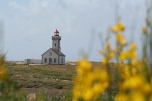 Maisons de vacances Maison charmante a Bangor avec jardin et cheminee : photos des chambres