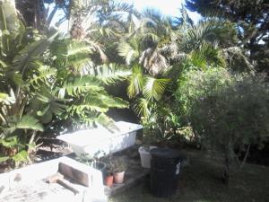 Self Catering Unit 6, Sandbaai