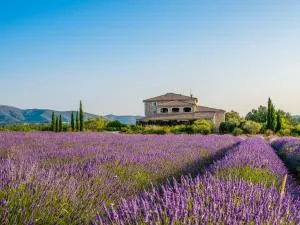 Domaine du Frigoulet - Labastide-de-Virac