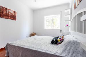 Casa Amoreira - Casa do Jop