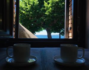 Trevignano Vecchio - Suite Apartment