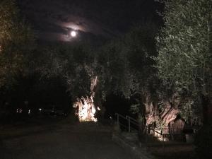 Villaggio RTA Borgoverde