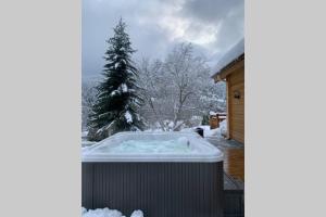 Chalets L'Elegance - SPA - Serviettes - Peignoirs - Lits faits - Menage inclus : photos des chambres