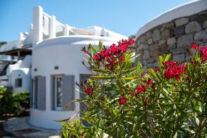 9 Muses Villas Mykonos Myconos Greece