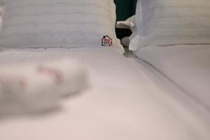 Arca Sweet Apartment Ariniș