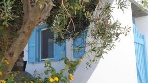 Cycladic Home in Agios Sostis Tinos Greece