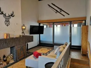 PENTHOUSE Appartement Bergliebe Sankt Englmar - Kollnburg