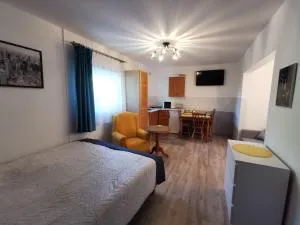 Apartament Ogrodowa - 新卡尔奇马