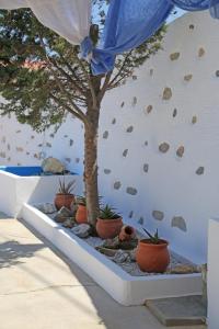Ano Syros Vibes Syros Greece