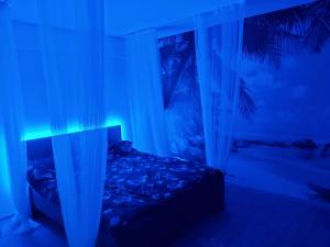 Iași Jacuzzi Apartment F