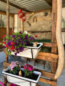 Casa Vacanze Gli Agrumi