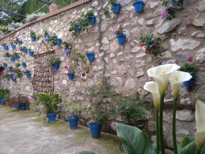 Cortijo de las flores Cazorla