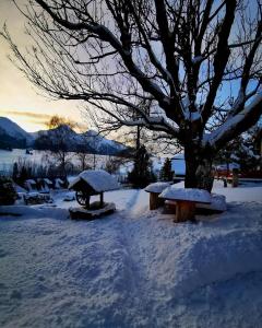 Chalúpka u líšky Elišky