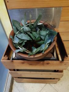 Hotel Campestre Inaoska Ecospa