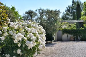 Hotels Les Mazets de Marie de Jules : photos des chambres