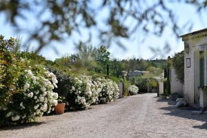 Hotels Les Mazets de Marie de Jules : photos des chambres