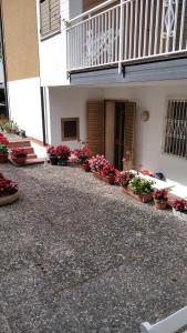 Casa mia - Marina di Ascea -