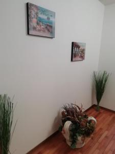 Casa Gio - Ledro