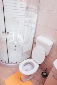 GUITAR - Camere de Inchiriat