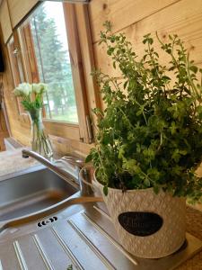 Osada Laskowo, Ośrodek Laskowo domki nad jeziorem